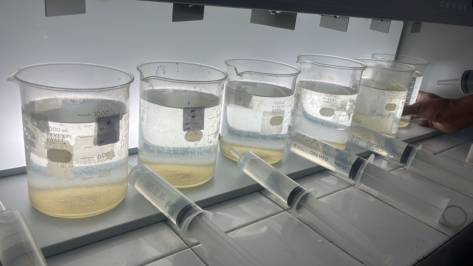 WhatsApp Image 2025-09-25 at 12.13.04 (1)